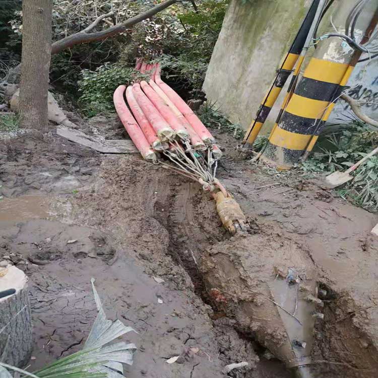 昭通武汉电动拖拉管